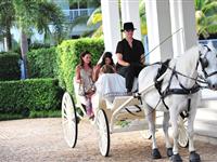 Wedding Carriage Courtesy of Port Douglas Photography - Peppers Beach Club