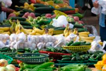 Christchurch Farmers’ Market, Riccarton