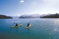 Peppers Portage conference NZ