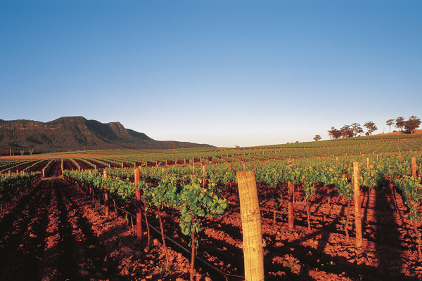 Peppers Guest House, the ideal base to experience the world-famous Hunter Valley vineyards 