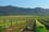 Hunter Valley