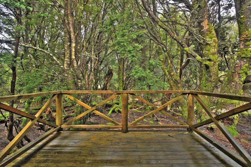 Gallery - Peppers Cradle Mountain Lodge