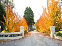 Driveway - Peppers Craigieburn