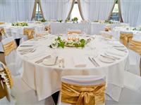 Rolleri Room - Peppers Mineral Springs