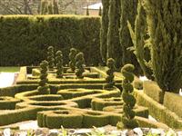 Garden Maze - Peppers Mineral Springs Hotel