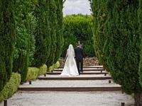 Wedding courtesy Mojo Photography- Peppers Mineral Springs Hotel