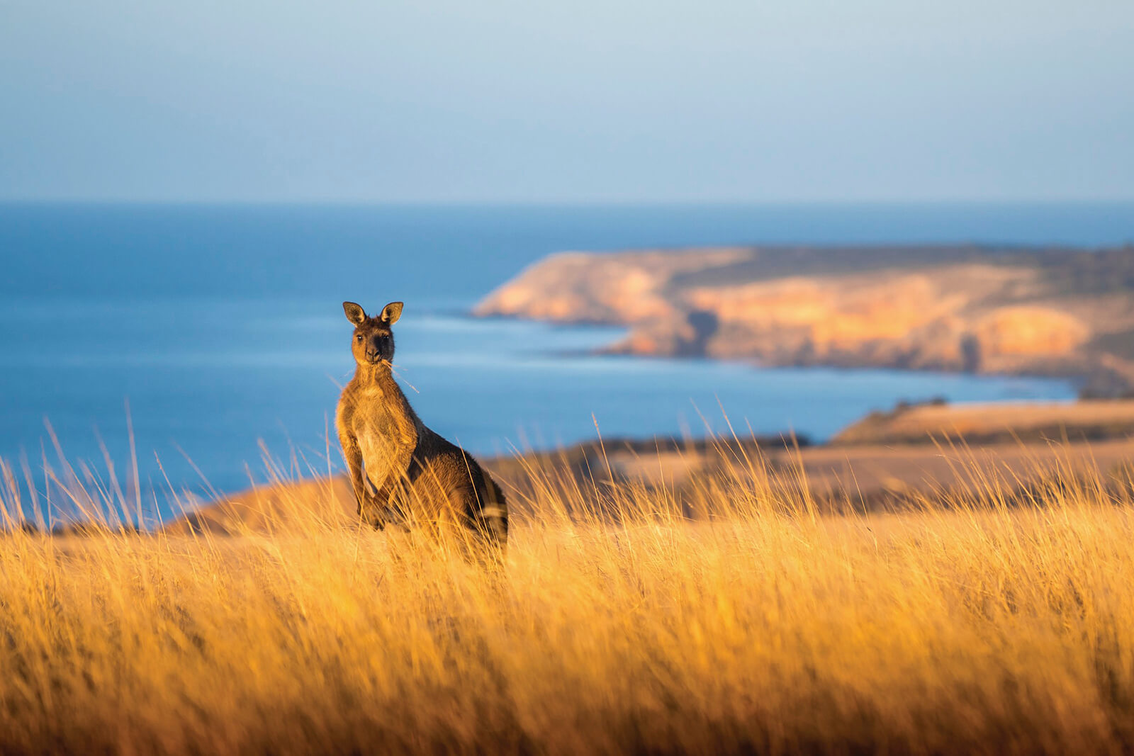 Middle River, Kangaroo Island