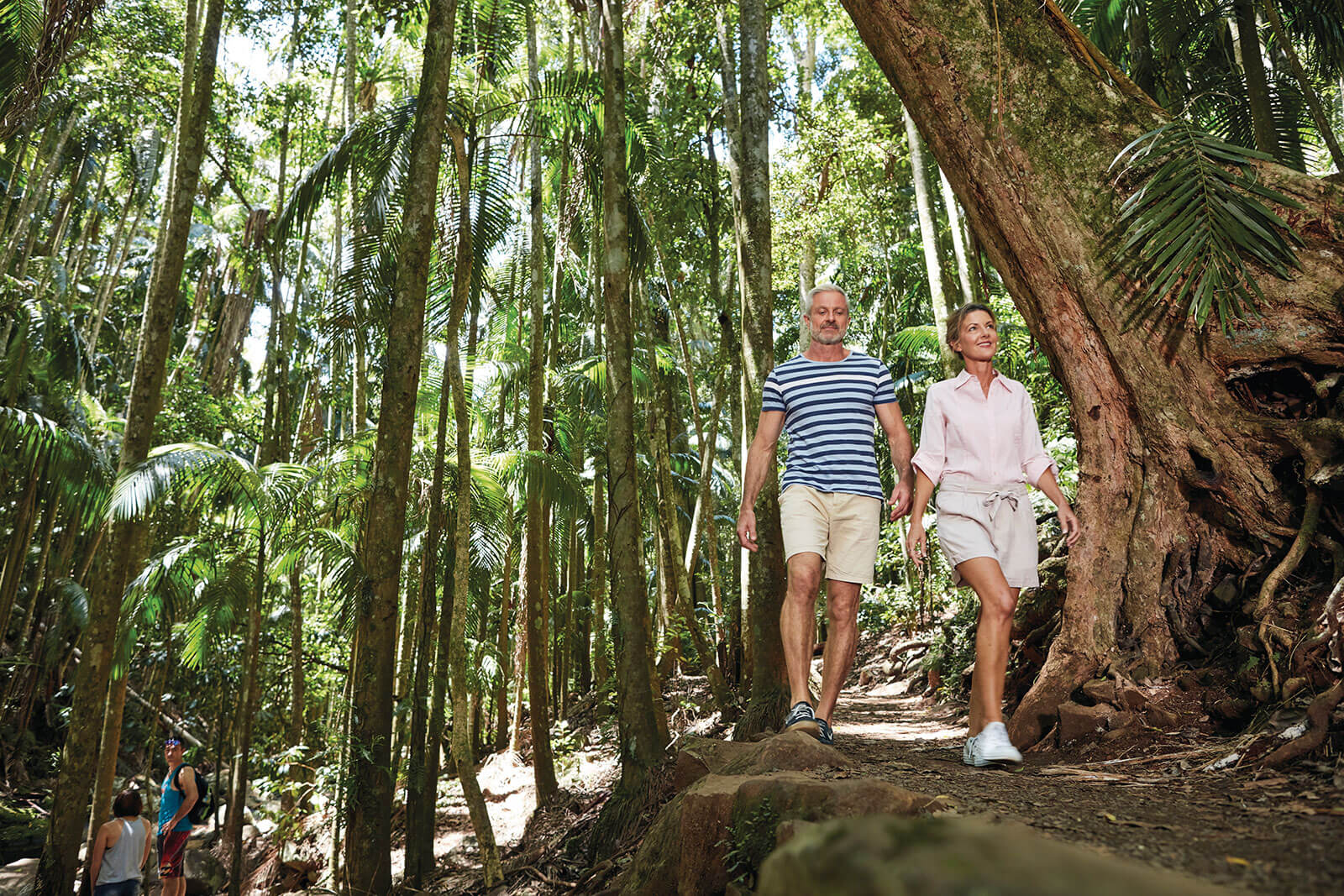 Rainforest Walks at Mount Tamborine