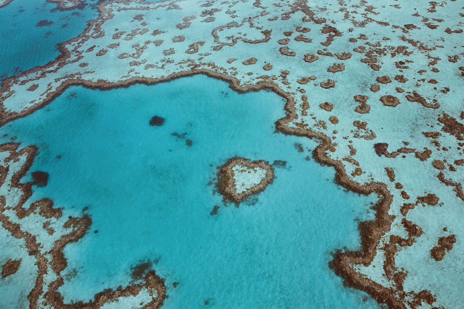 Heart Reef aerial