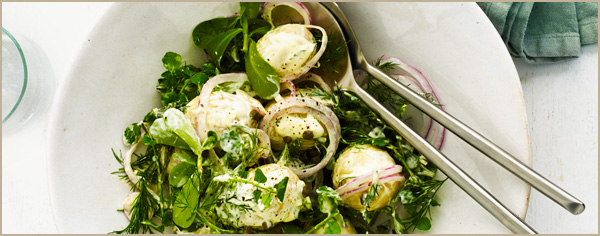 Potato salad with crème fraîche, onion, purslane and dill recipe